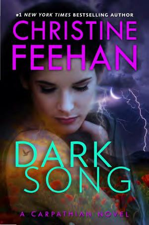 Dark Song