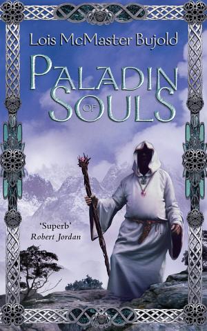 Paladin of Souls
